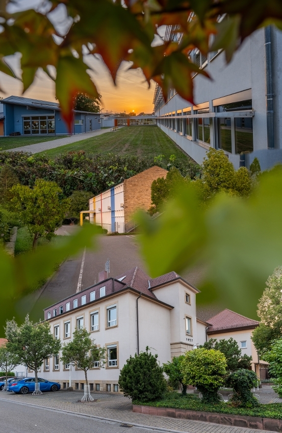 Die 3 Römerberger Grundschulen. 